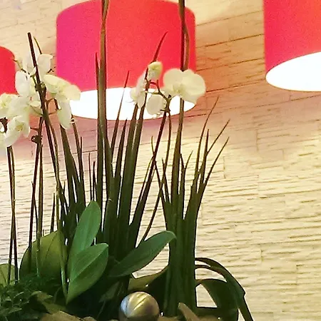 Hotel Aurora Wiesbaden