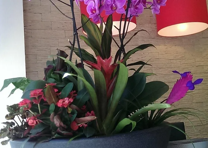 Hotel Aurora Wiesbaden